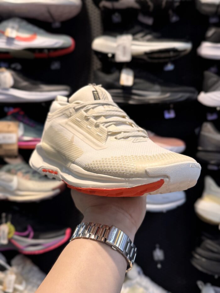 کتونی Nike Pegasus Trail۵ #۱